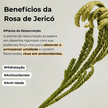 Máscara Noturna Rice Probiotics Jelly